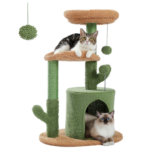 Cactus Climber