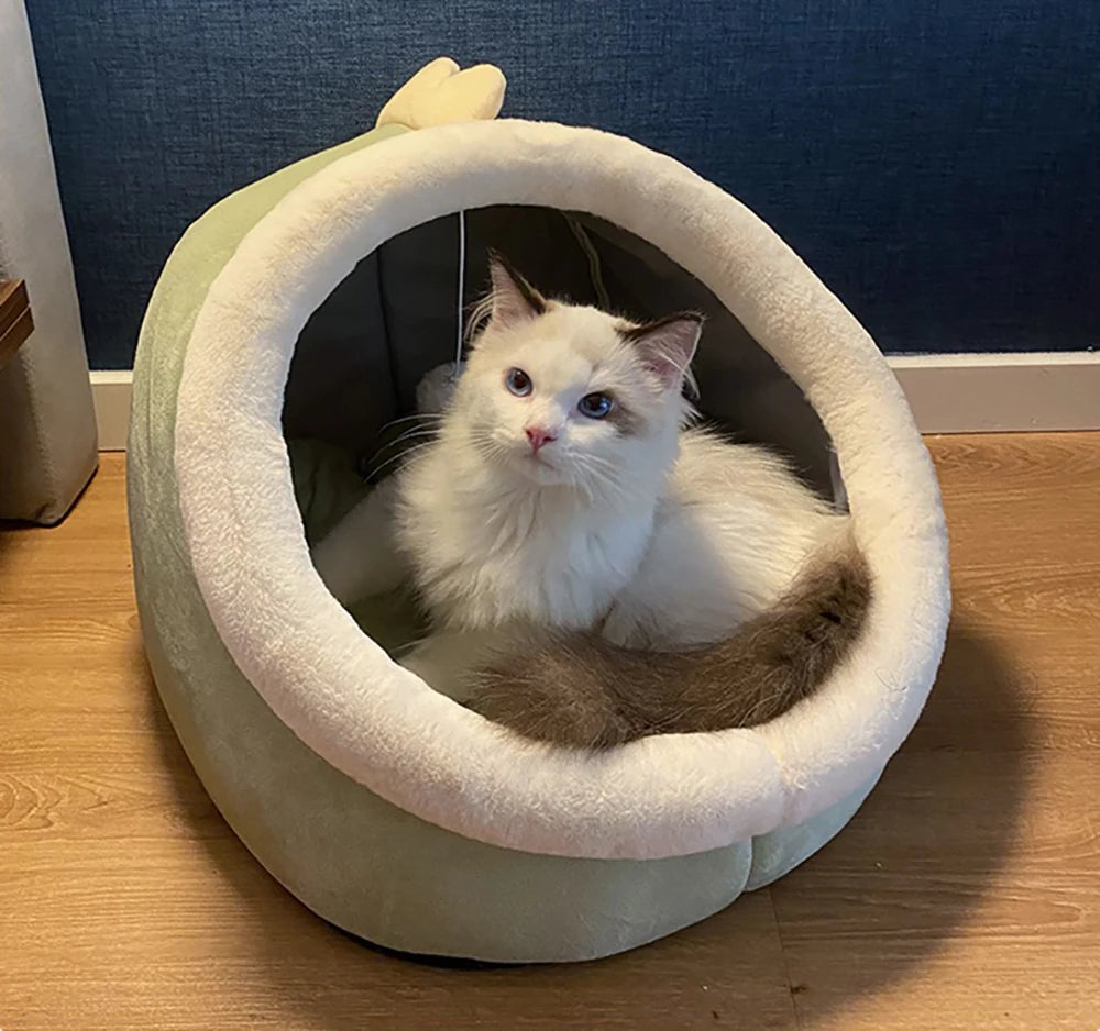 Cozy Paws Cat Bed