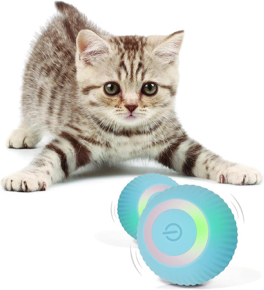 SmartSense Cat Ball